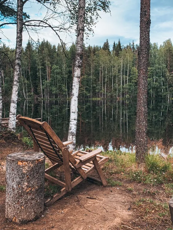 Коттедж комфорт класса с видом на лес