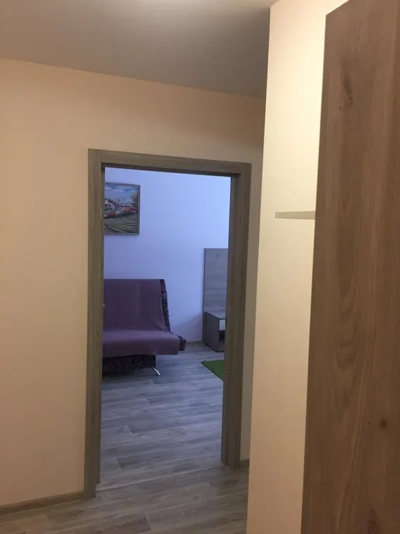 Апартаменты с видом на лес