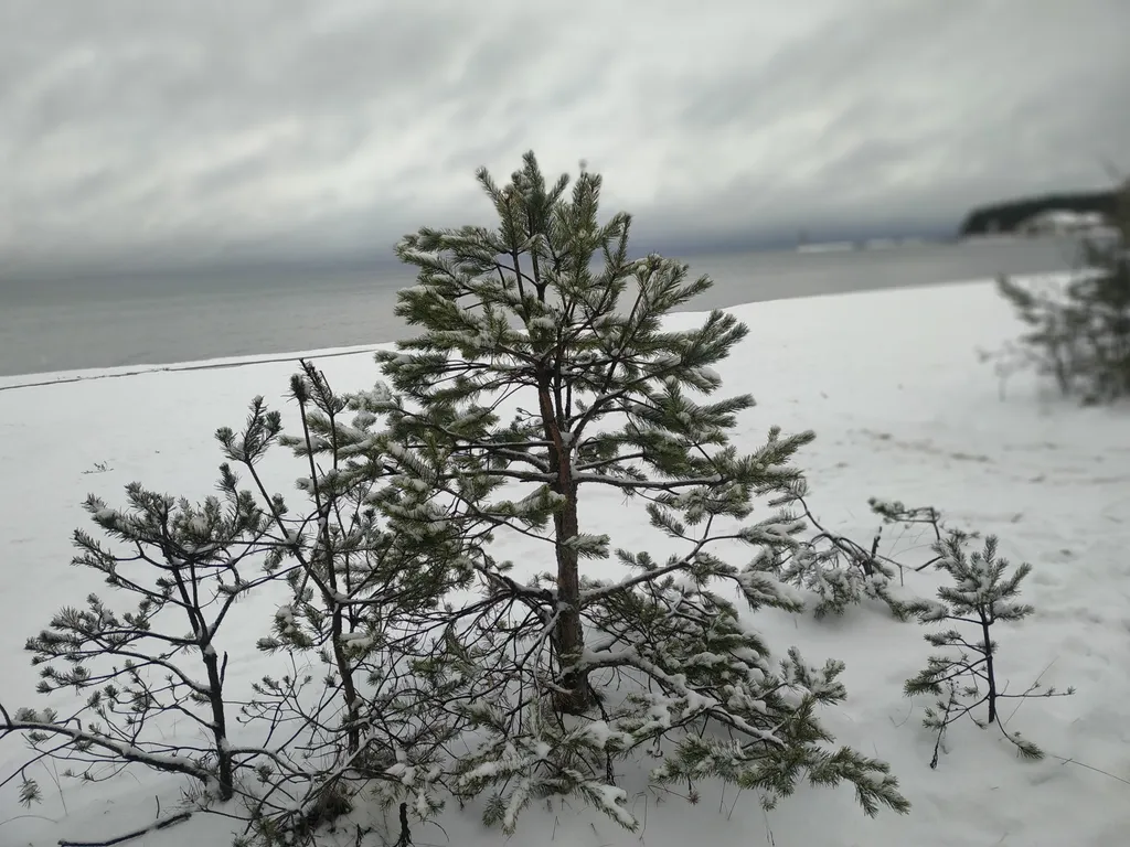 Коттедж Коттедж Семейный отдых в Карелии — Ларионово