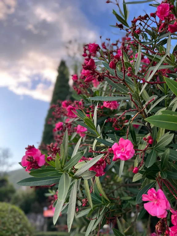 Апартаменты с видом на море