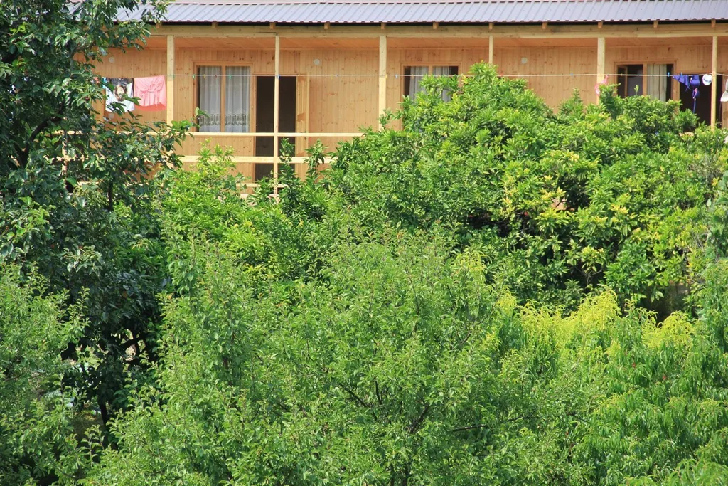 Уютный номер эконом