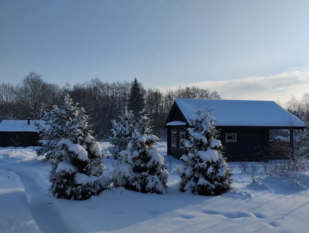Деревенский дом и баня