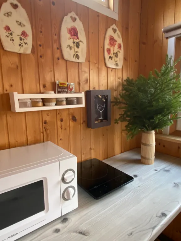 Дом и баня на участке 40 соток