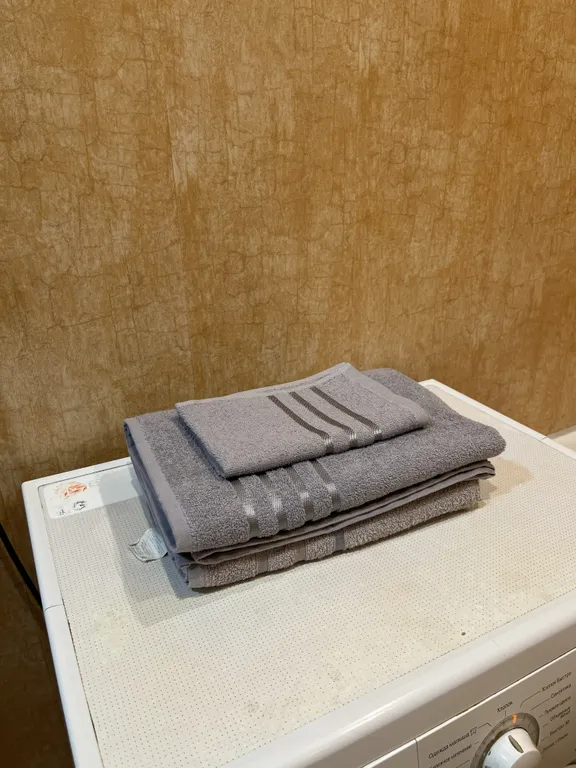 Уютная квартира в центре, за тц пионер