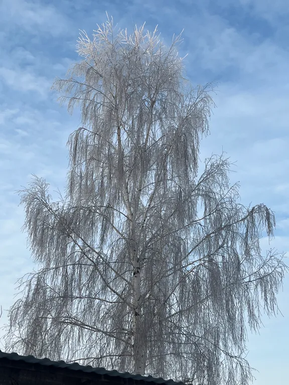 Гостевой дом Перезагрузка