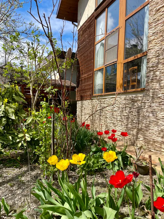 Коттедж в центре Красной Поляны с видом на горы