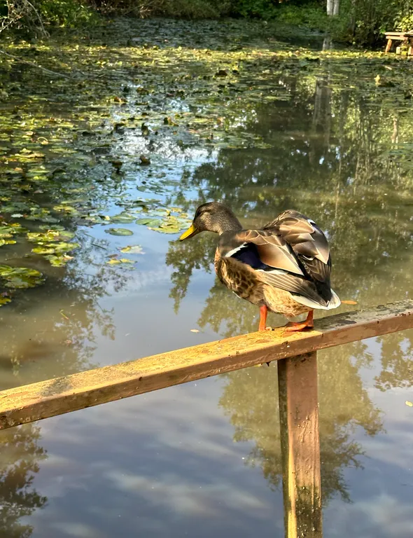 Уютный дом в Токсово