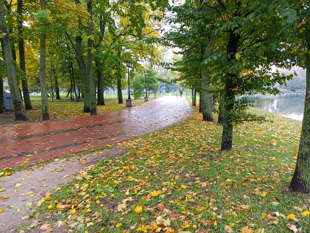 Квартира Квартира в центре города с видом на Верхнее озеро — Калининград