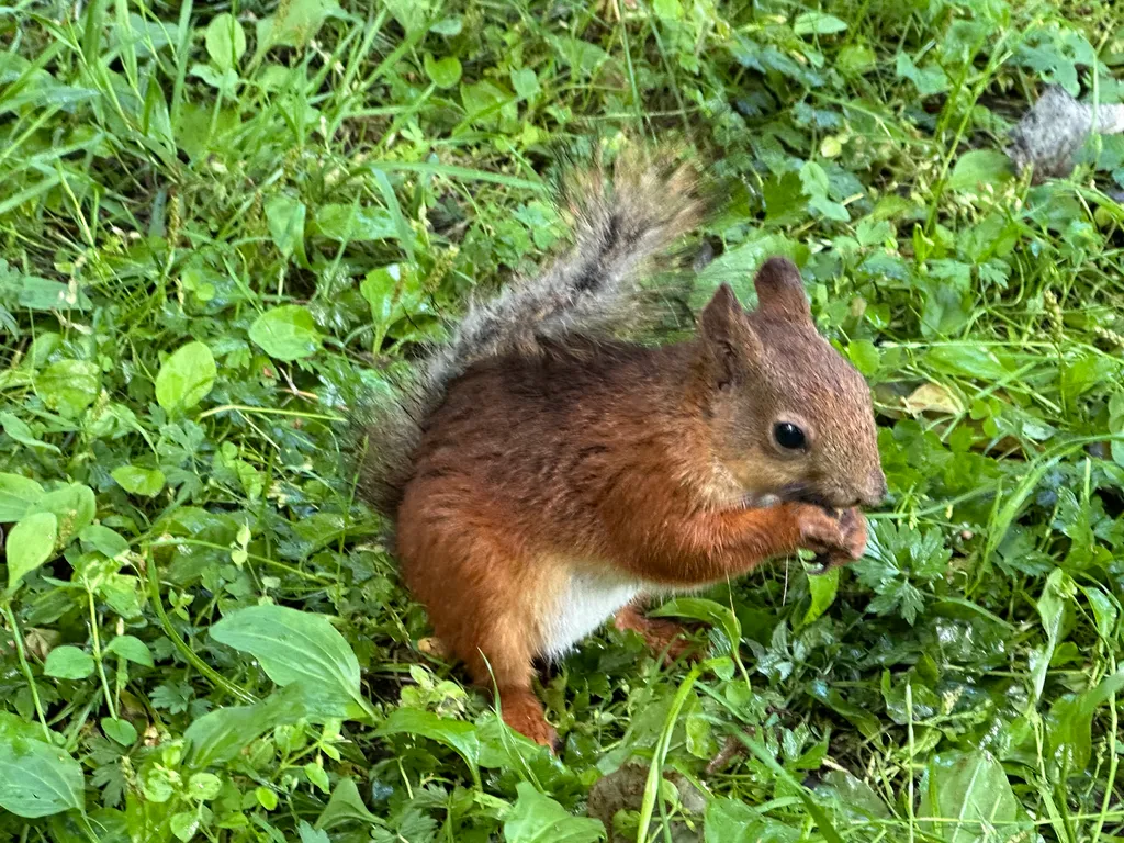 4-комнатный Дом