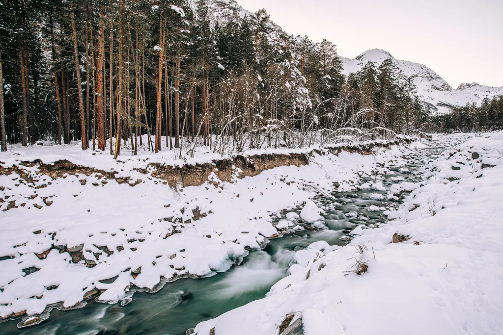 Квартира Luxury