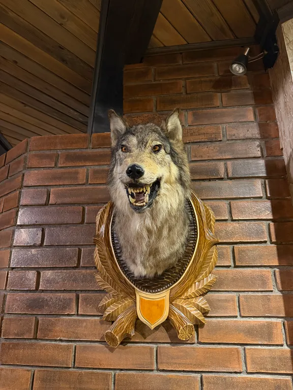 Grand chalet Беловежская пуща