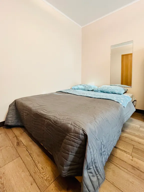 Квартира 1-комнатная Квартира — Шушары