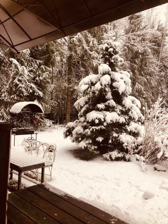 Изба (дом) из экологически чистого бревна под камышовой крышей в лесу