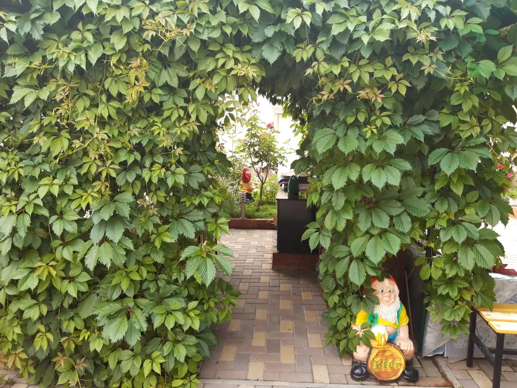 Уютные апартаменты