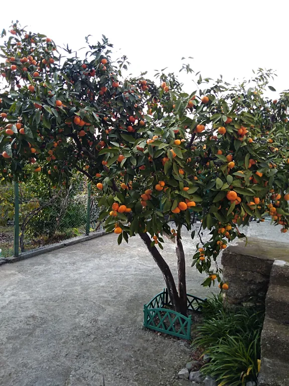 Двухместная комната эконом класса с кондиционером