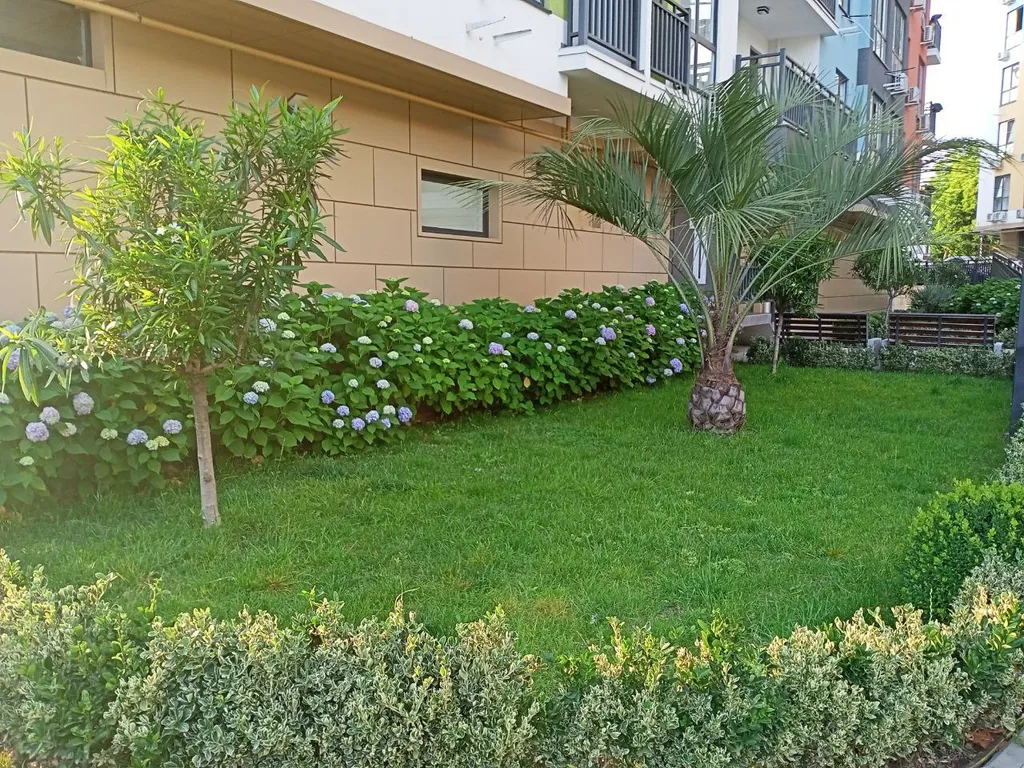 Квартира 1-комнатная Квартира — Адлер