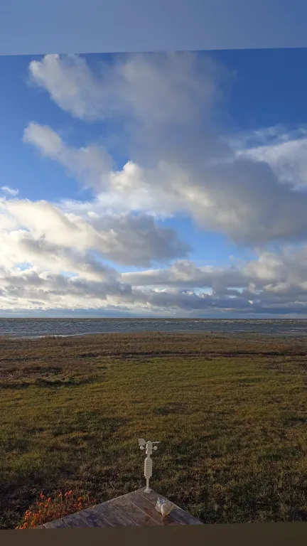 Дом с видом на Чудское озеро