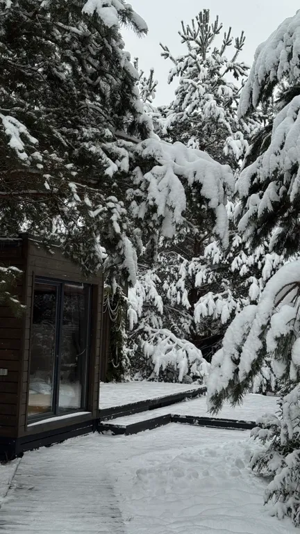 Скандинавский дом с ванной внутри и видом на лес