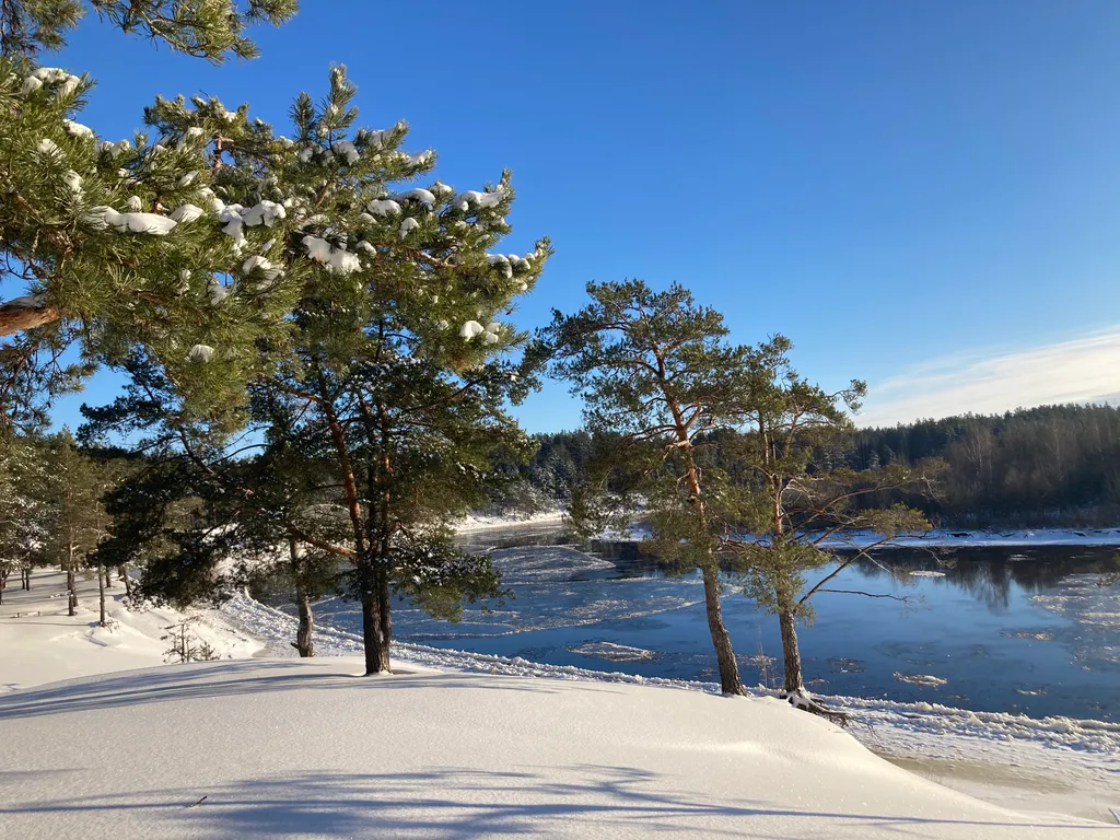 Уютный лесной домик со всеми удобствами