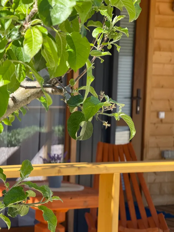 Уютный и комфортный домик