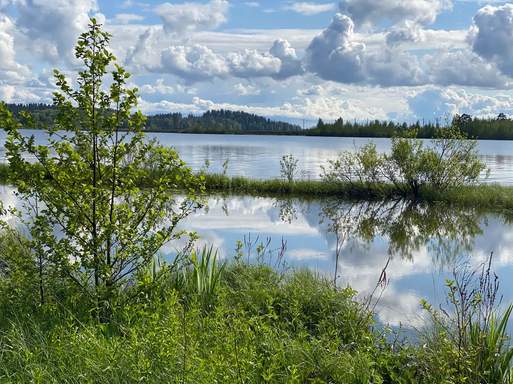 Уютная квартира у озера