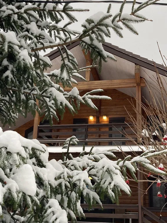 Большой светлый гостевой дом 230кв/м 50 соток участок