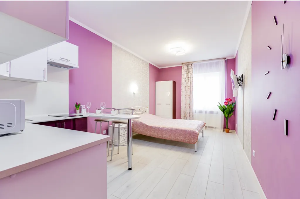 Улучшенная студия с видом на реку