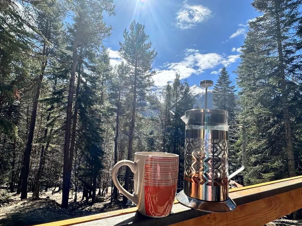 Дом шале в сосновом лесу