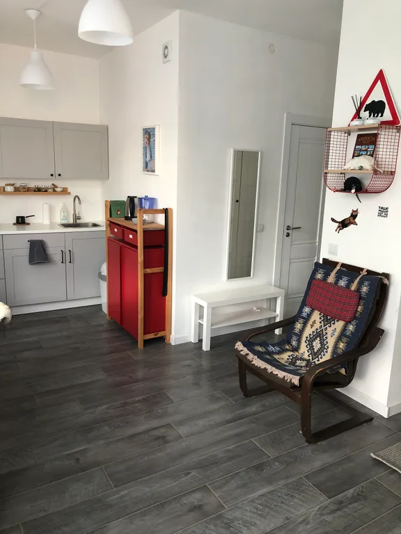 Небольшая студия в скандинавском стиле