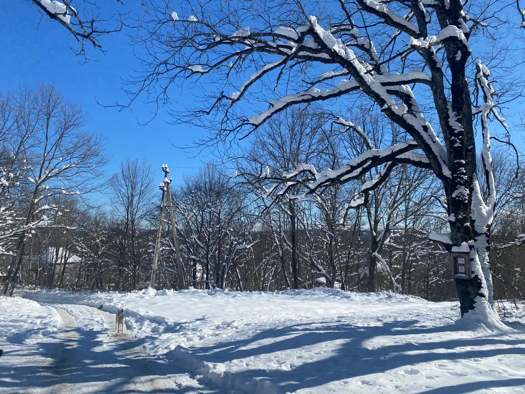 Коттедж Коттедж Дача с банькой в живописном лесу — Горячий Ключ