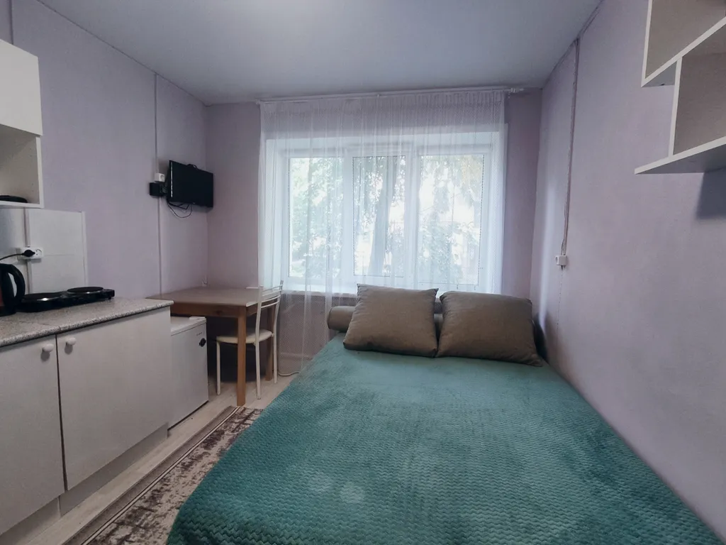 Уютная студия в центре рядом с ТЦ Галерея Чижова и цирком