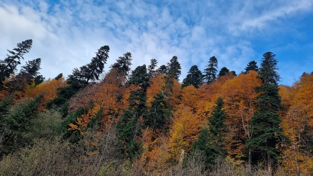 Апартамент с панорамными видами на горы
