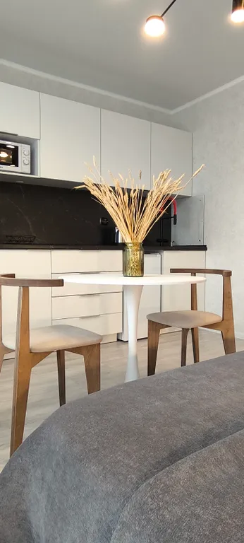 Уютная квартира-студия в новом доме с новой мебелью