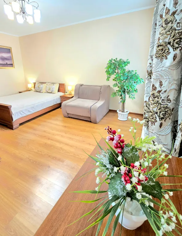 Квартира Апартаменты с красивым видом — Красноярск