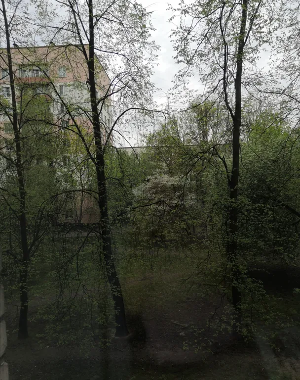 Квартира Квартира Soft Nice Apart — Санкт-Петербург