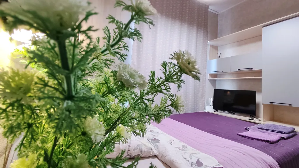 Квартира Квартира Уютная студия с видом на горы — Сочи