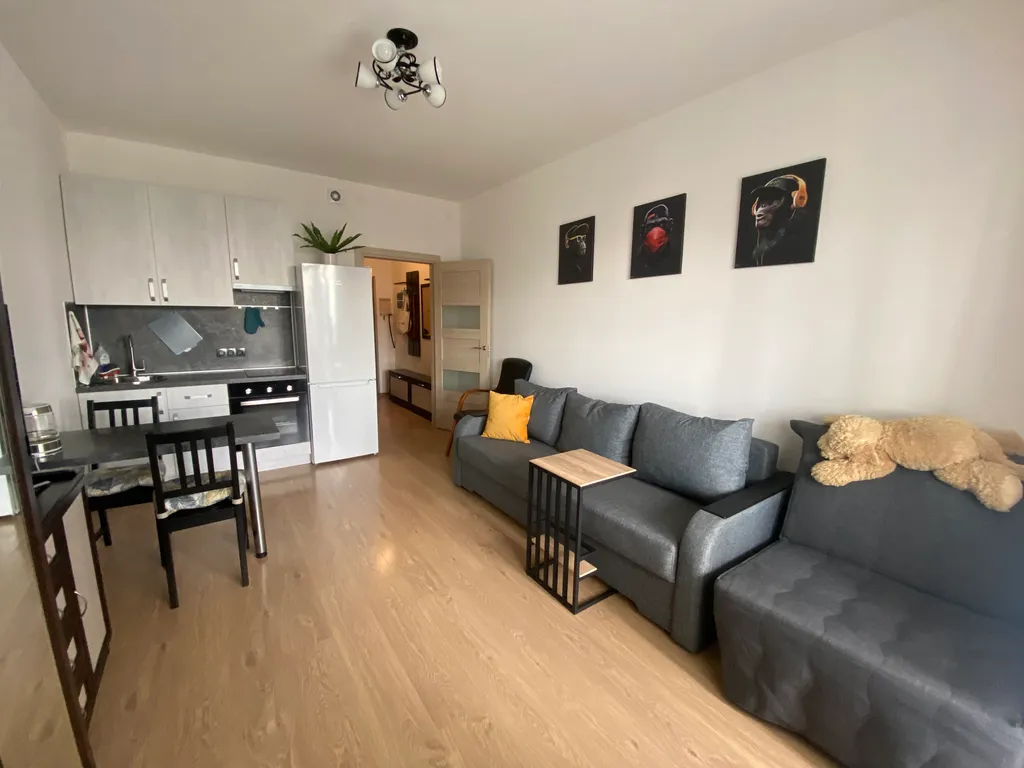 Квартира Стильная, уютная, солнечная студия в современном микрорайоне — аренда посуточно в Кудрово