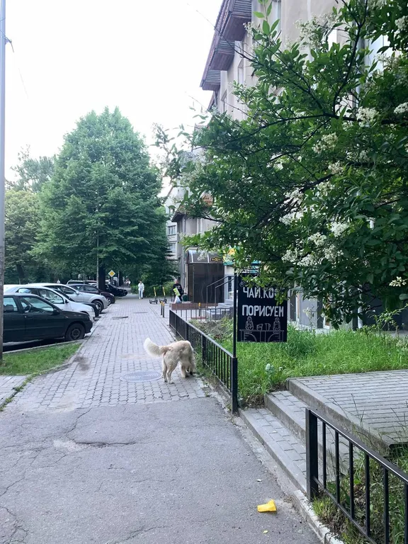 Квартира Уютная квартира в центре города, в зеленом районе — Калининград