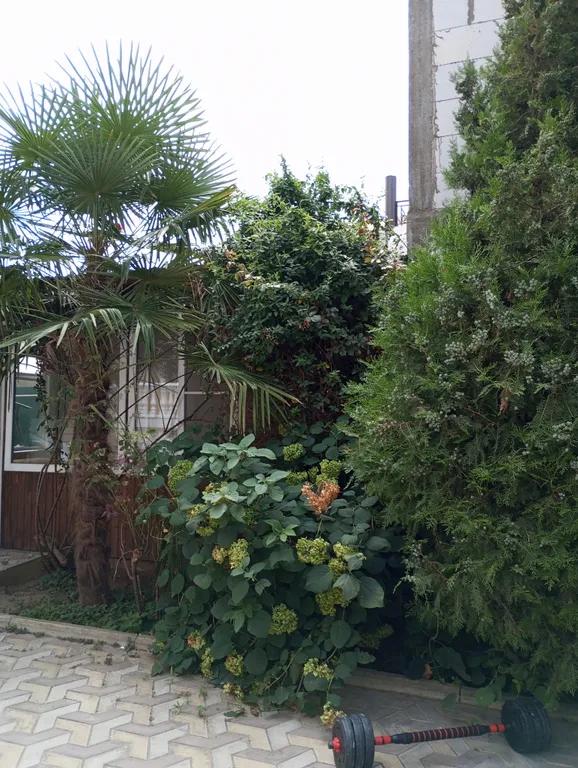 Студия у моря