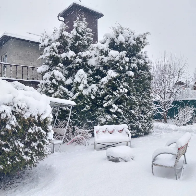 Новый год в Подмосковье. Идеальный дом с баней и чаном