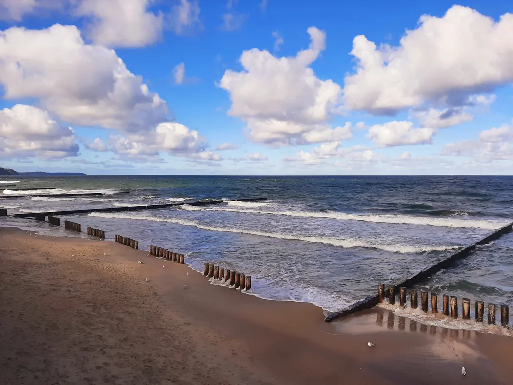 Квартира Квартира Vi&Va у моря — Светлогорск