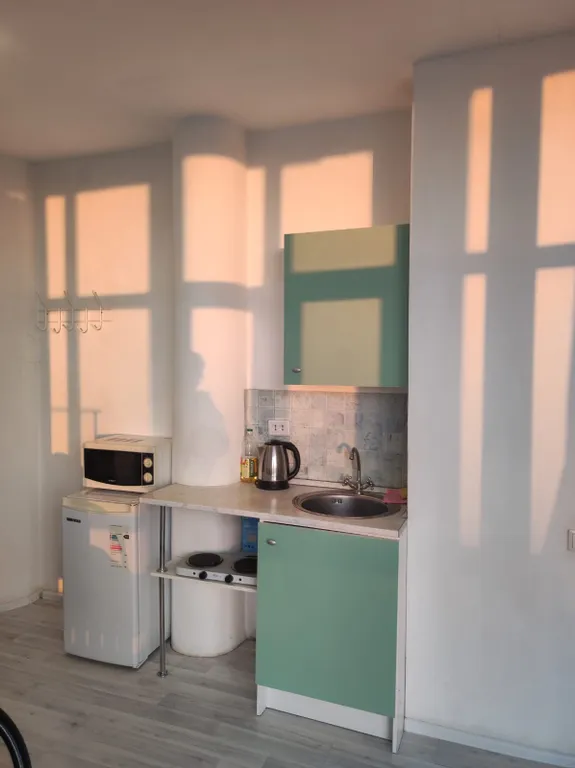 Квартира 1-комнатная Квартира — Пушкин