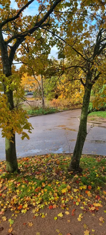 Уютная чистая квартирка с ремонтом