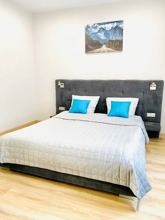 Квартира Апартаменты в центре — аренда посуточно в Барнаул