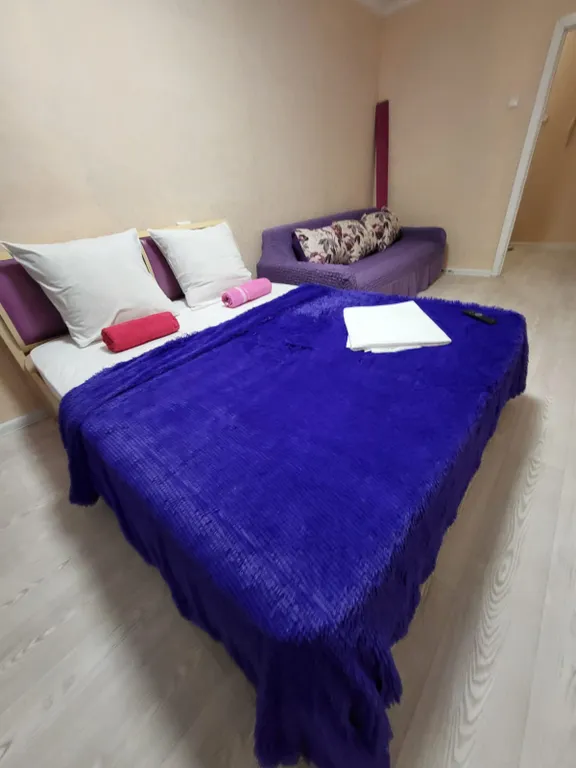 Квартира Уютная квартира, в  центральном районе Красноярска — Красноярск