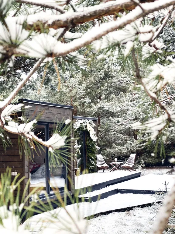 Скандинавский дом с ванной внутри и видом на лес