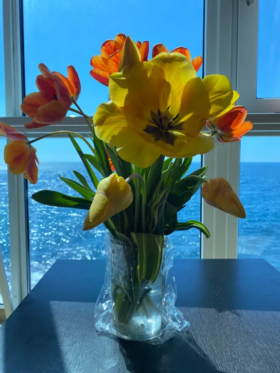 Апартаменты с видовыми окнами на море, первая линия