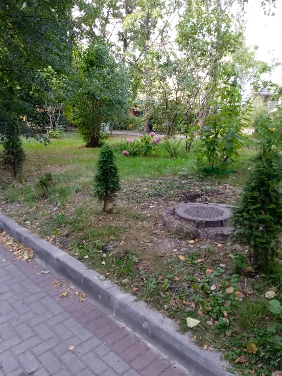 Квартира Уютная квартира в центре — Калининград