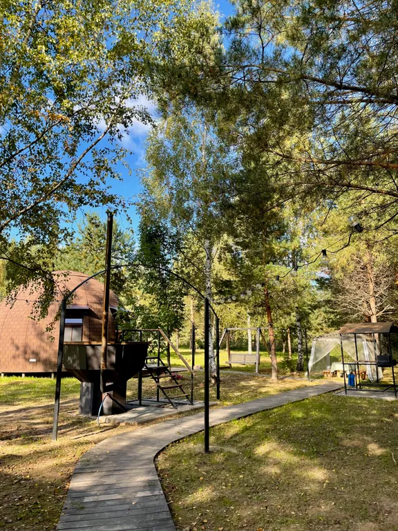 Уникальный купольный дом среди хвойного леса