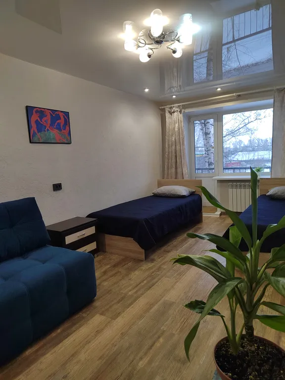 Уютная однокомнатная квартира рядом с аэропортом Толмачёво